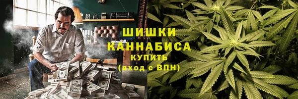 mdpv Богородицк
