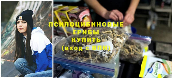 mdpv Богородицк