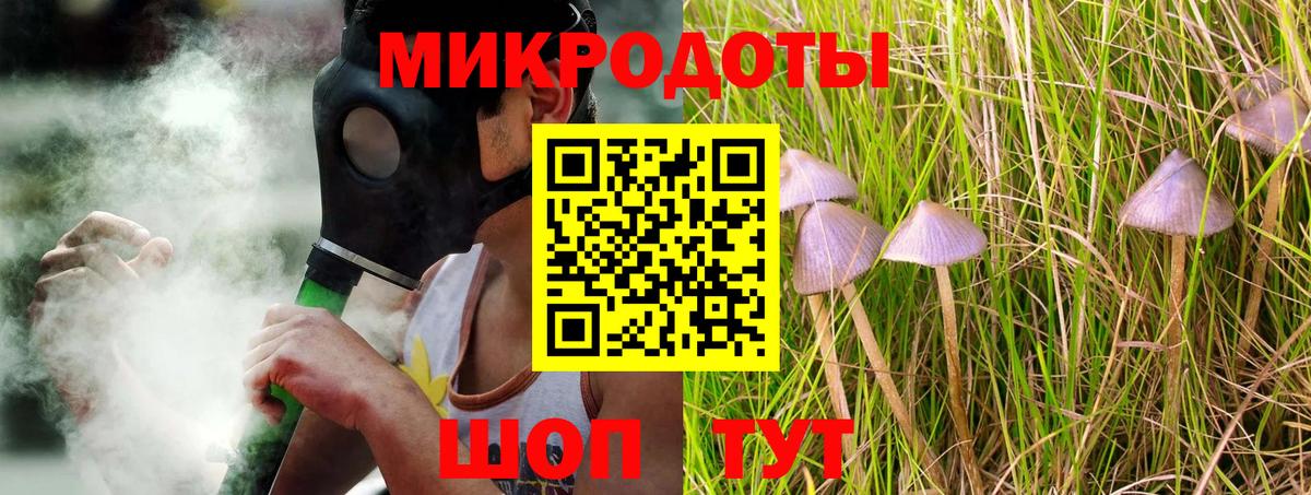 Галлюциногенные грибы Psilocybine cubensis  Гулькевичи  Галлюциногенные грибы Magic Shrooms 